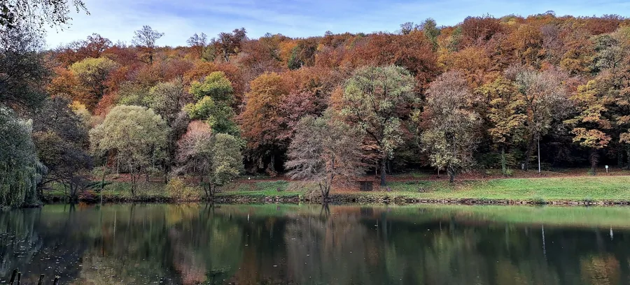 Fond Saint-Martin en automne