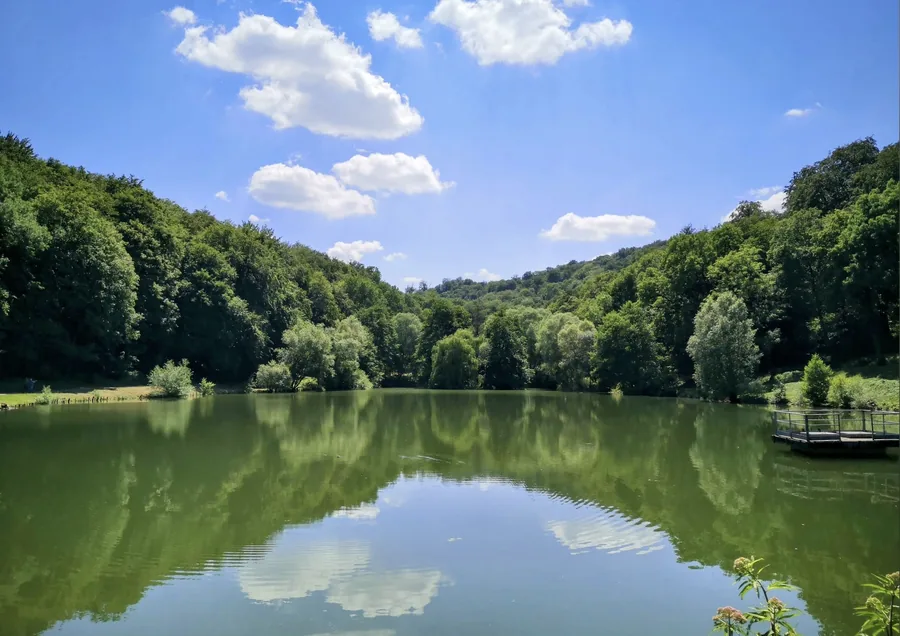 Lac du Fond Saint-Martin et forêt